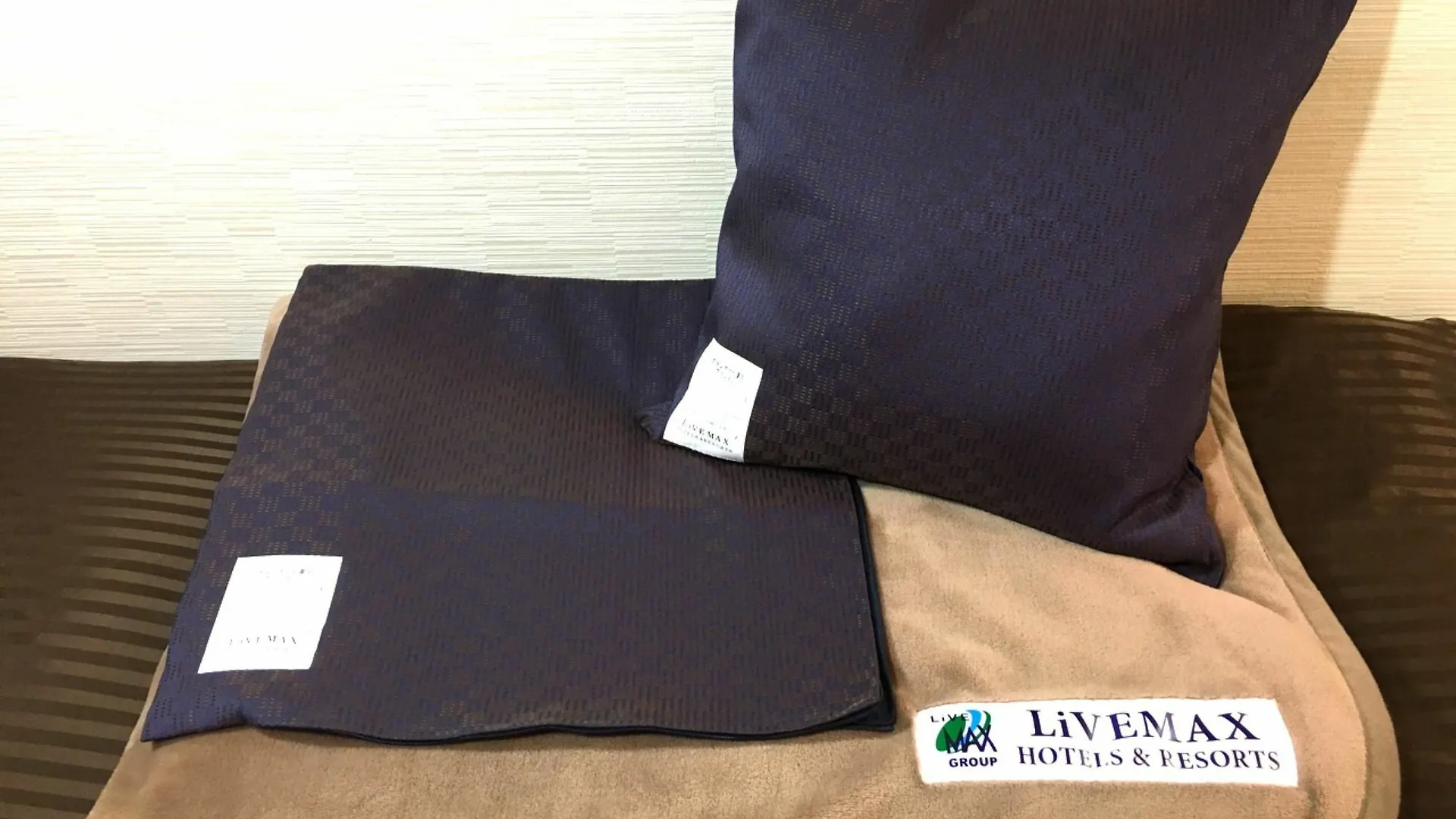 Hotel Livemax Tokyo Bakurocho Japan