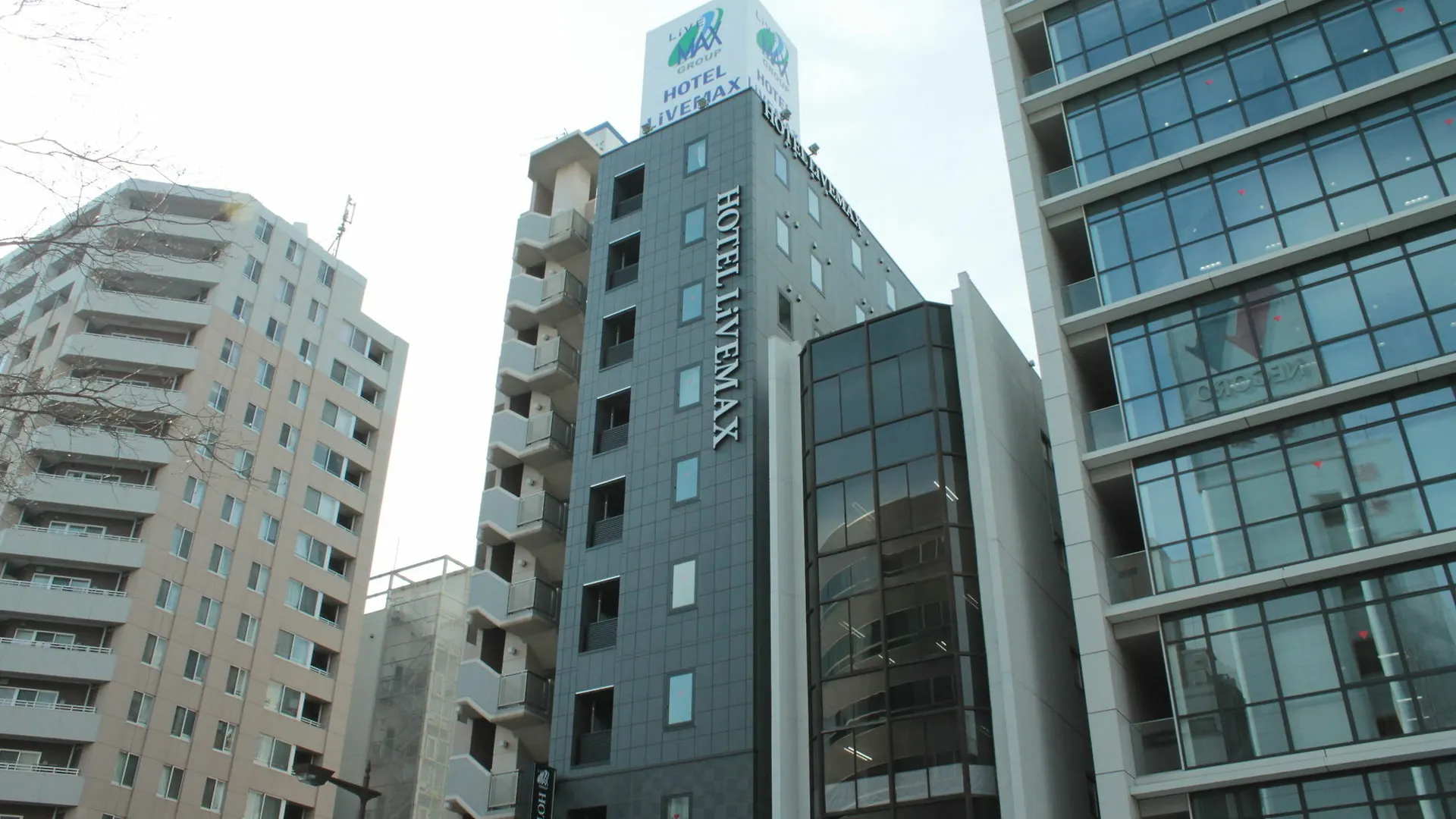 Hotel Livemax Tokyo Bakurocho 3*,  Japan